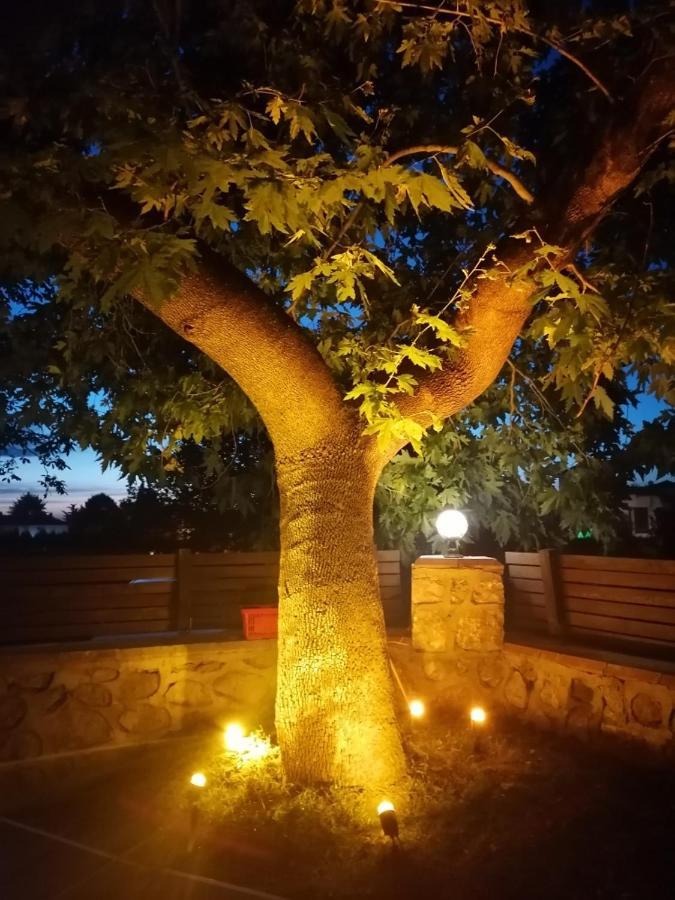 Vital Home Sapanca Isitmali Havuzlu Villa&Bungalov Luaran gambar